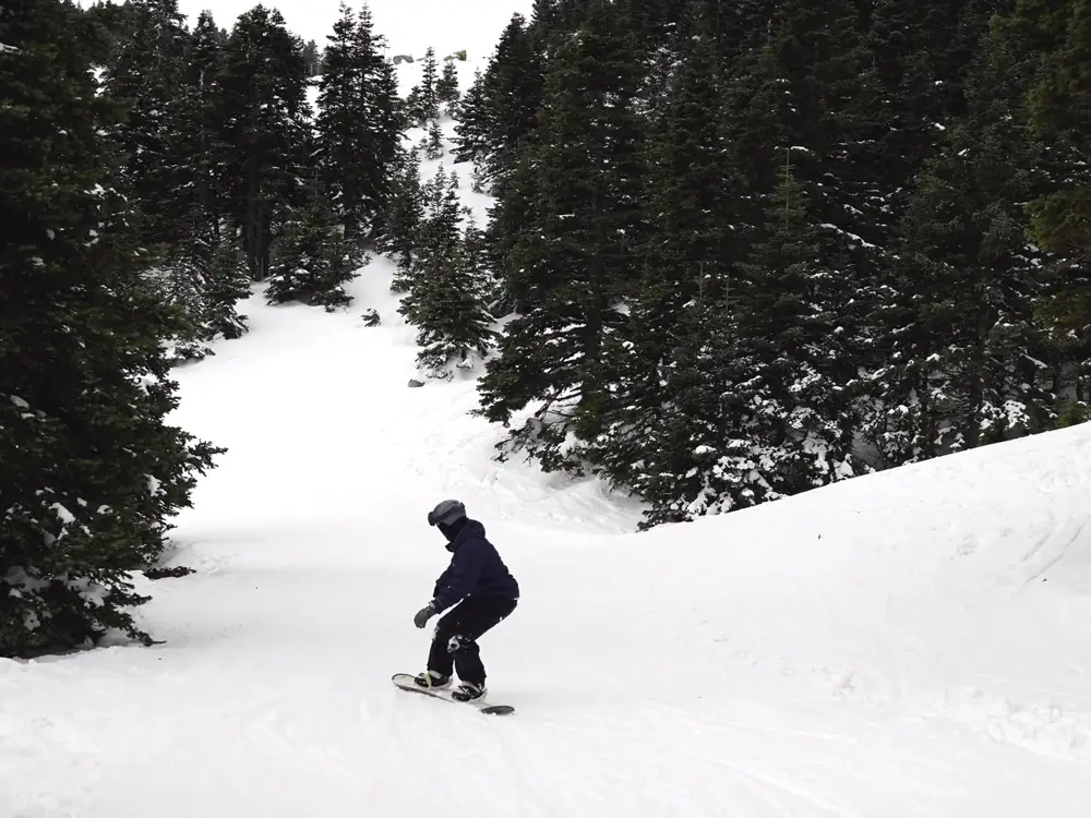 Snowboardzista na stoku wśród świerków